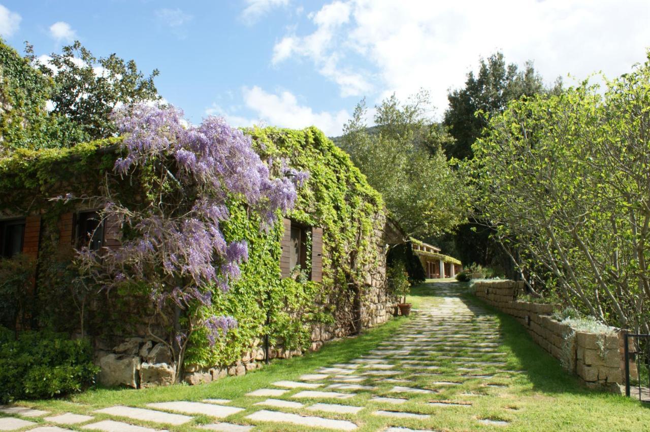 L'Agnata Di De Andre Boutique Hotel 滕皮奥保萨尼亚 外观 照片